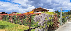 Camping el Roble Verde
