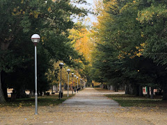 Polideportivo de La Arboleda