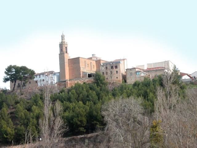 El Olivo de Sansol